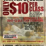 BJJ Flyer 2 - Web